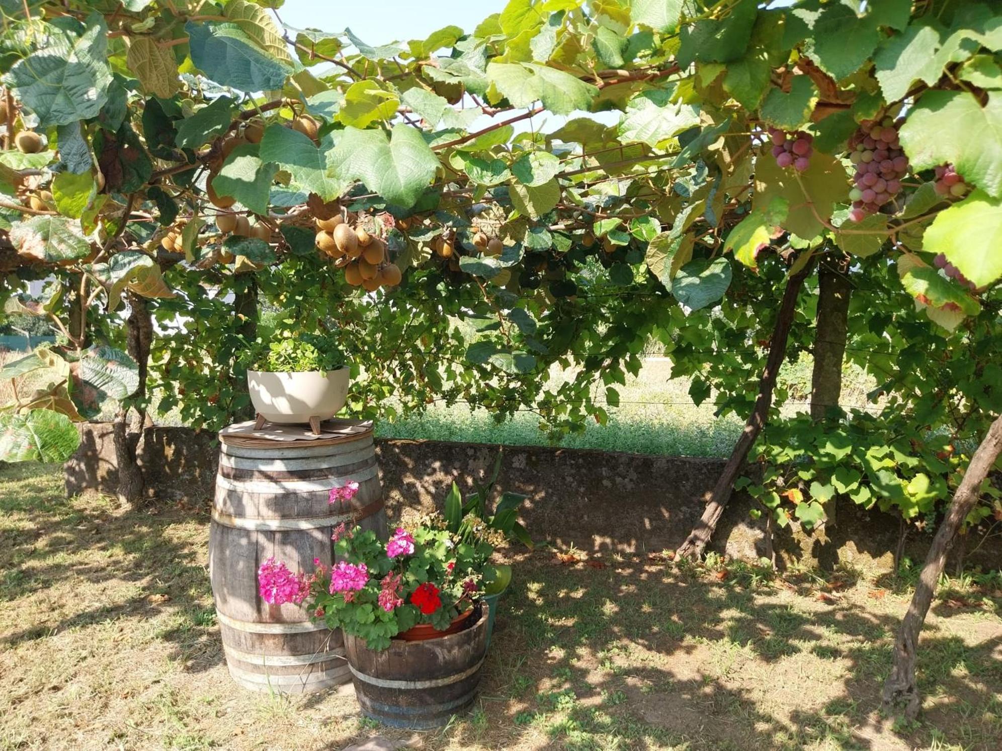 O Berce Padron Casa Rural Buitenkant foto